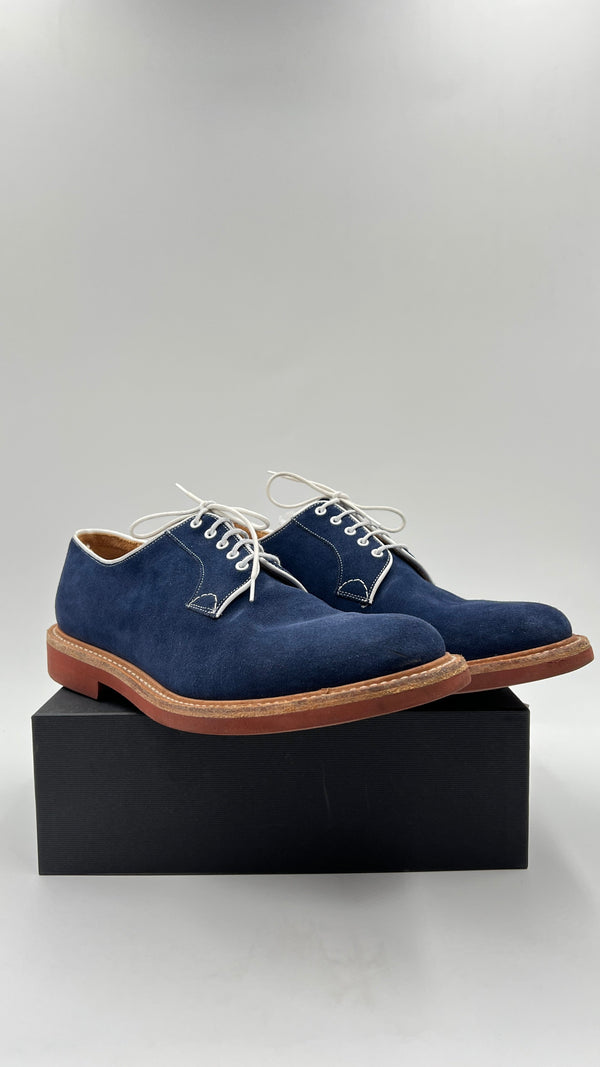 Oxford in suede N.81/2