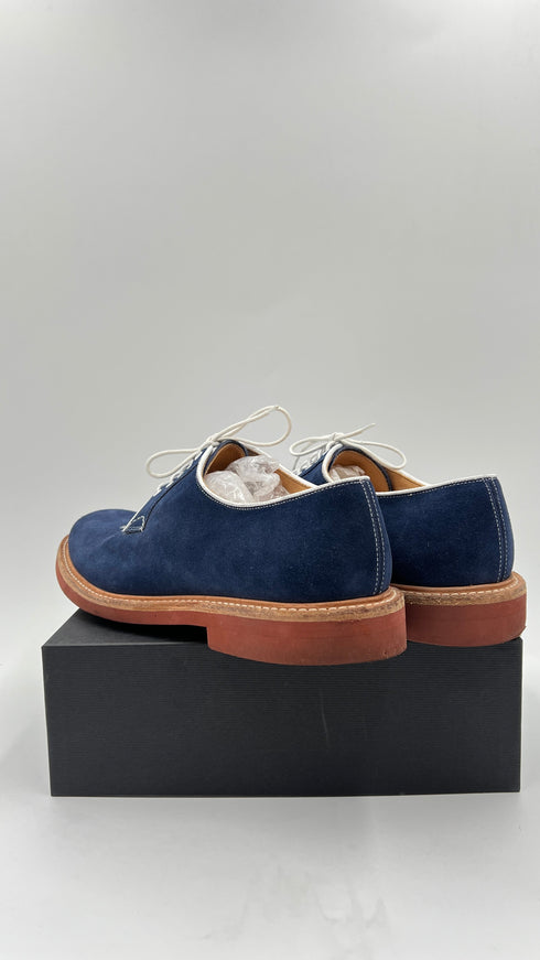 Oxford in suede N.81/2