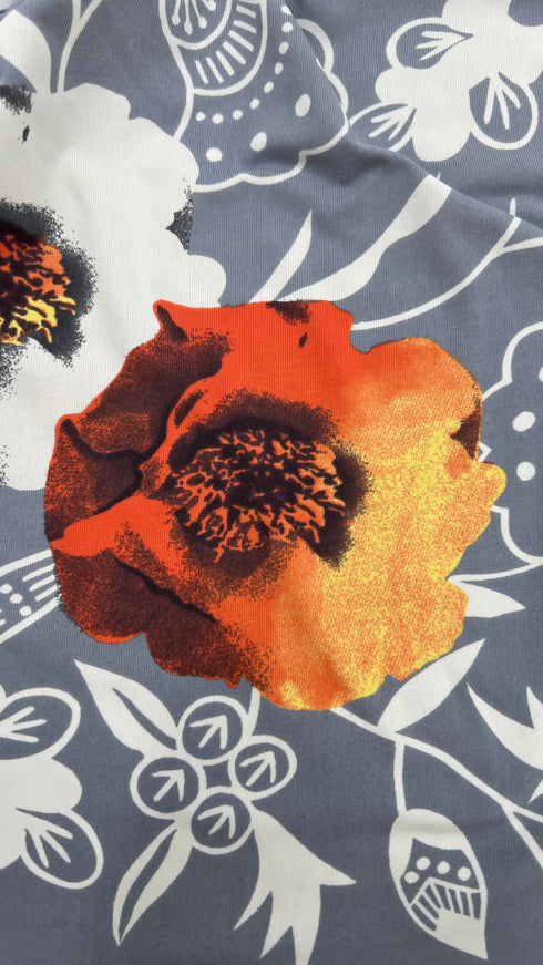 Top begonie flora