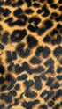 Cappotto animalier