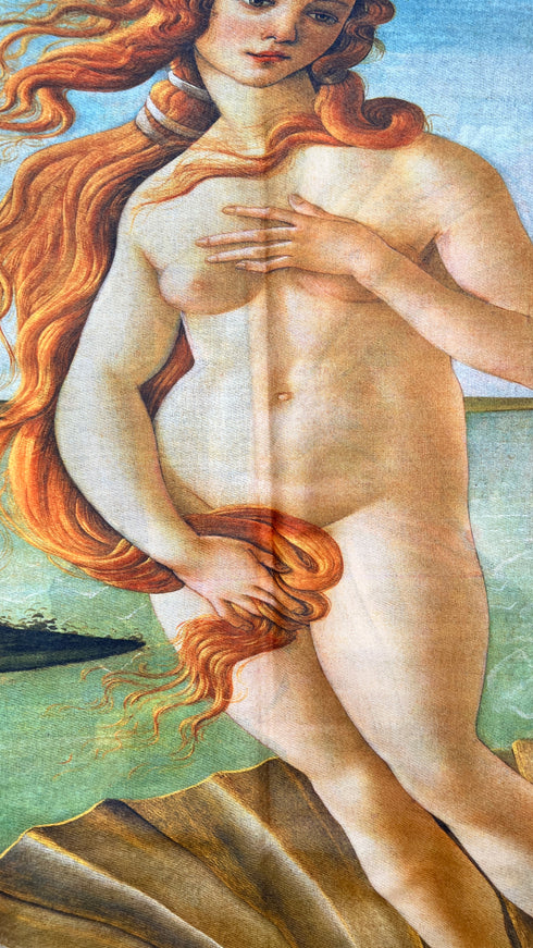 Sciarpa double face con opere Botticelli